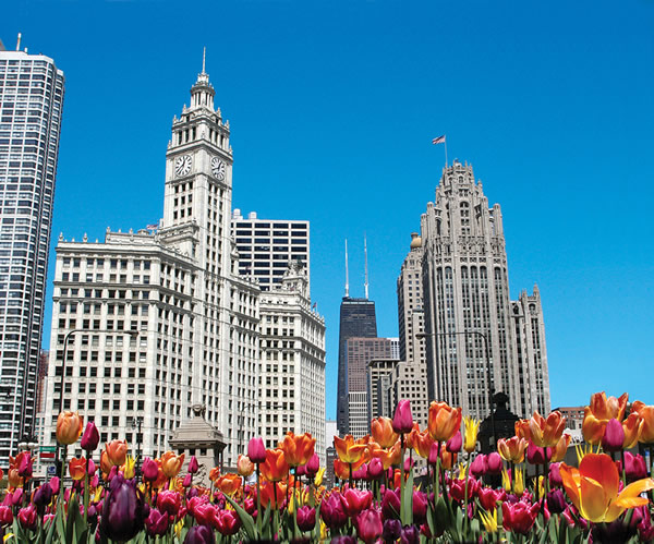 Wrigley Building, Magnificent Mile